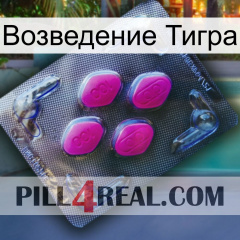 Возведение Тигра 02